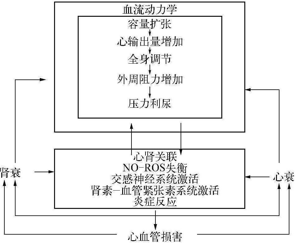 第七節(jié) CRRT在心腎綜合征中的應用